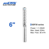 Mastra 6 inch stainless steel submersible pump - 6SP series 30 m³/h rated flow solar dc pump system