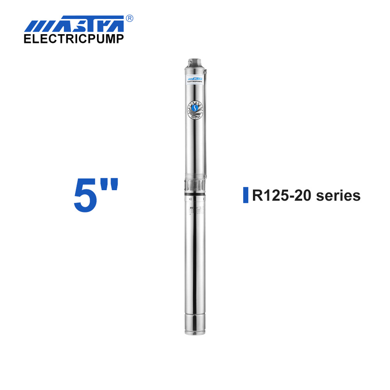 Mastra 5 inch Submersible Pump - R125 series 20 m³/h rated flow sea water pump catalogue