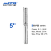 Mastra 5 inch stainless steel submersible pump - 5SP series 20 m³/h rated flow irrigation pump electrical requirements