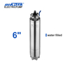 60Hz 6" Water Cooling Submersible Motor screw pump