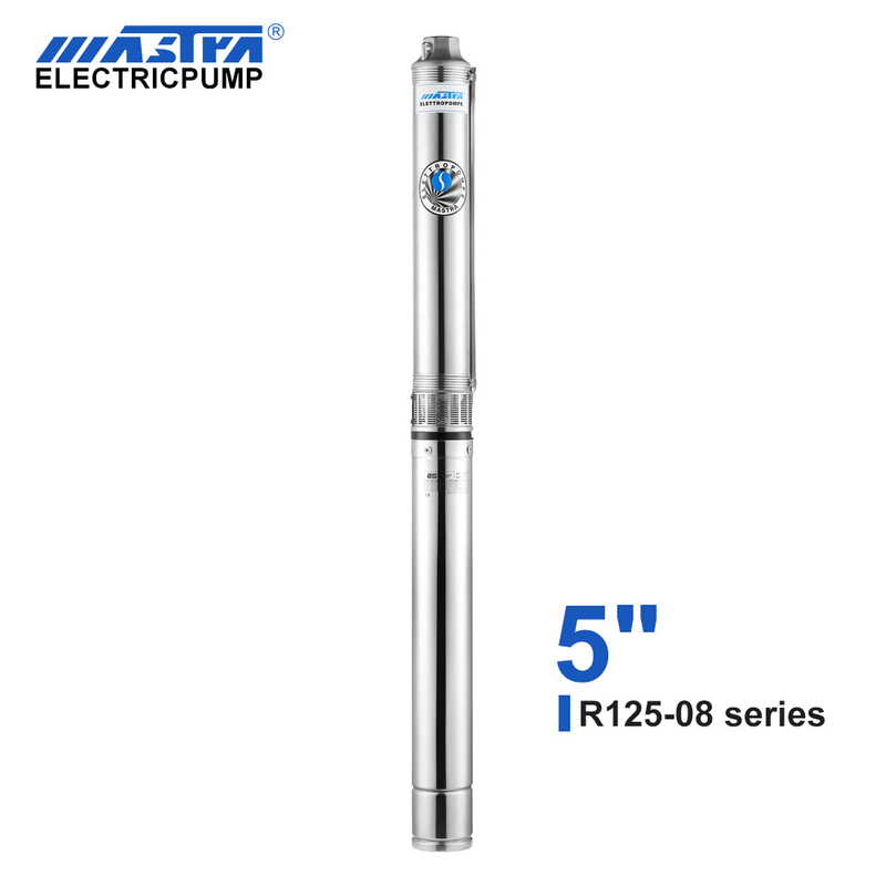 Mastra 5 inch Submersible Pump R125 series 8 m³/h rated flow 12 volt marine utility pump