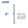 Mastra 6 Inch Stainless Steel Submersible Pump - 6SP Series 15 M³/h Rated Flow