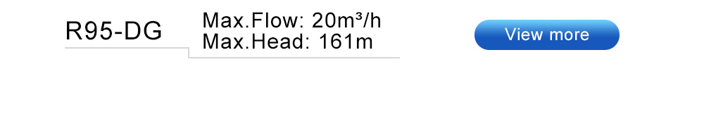 submersible pump motor